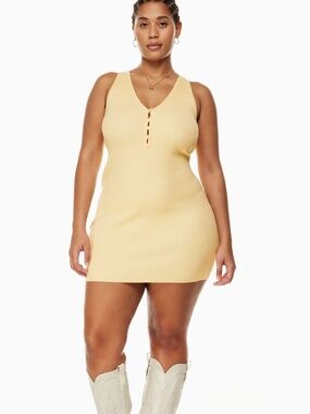 Aritzia Affinity Knit Mini Dress
